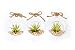 Hinterland Trading Three Air Plant Terrarium Gift or Party Favor Set