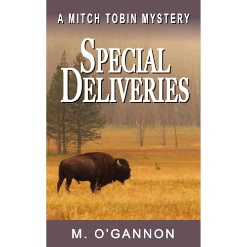 Special Deliveries Audiolibro Por M O'Gannon arte de portada