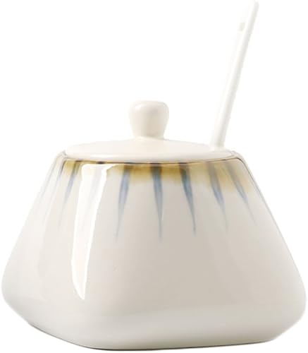 CHOOLD Tarro de especias de cerámica vintage pintado a mano con tapa, cuchara, caja de condimentos, ollas de condimentos, estantes de especias para