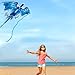 Dragon Kite for Adults, Kites for Kids Ages 4-8 8-12 Easy to Fly, Kids Kite for Boy Girls, Beginners, Beach Trip Park Family Outdoor Games and Activities(Blue)