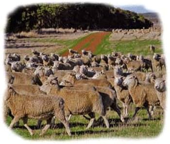 [美品] ロイヤル シープトン W 西川産業 img-mouton-sheepton-