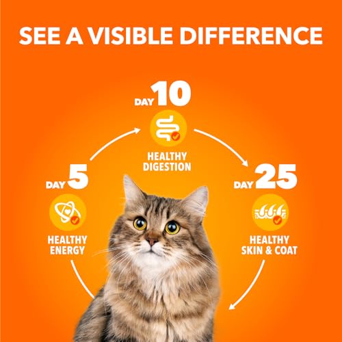 IAMS Perfect Portions Adult Wet Cat Food - Chicken and Tuna Paté Variety Pack, 75g (24 Pack) by IAMS - Image 8