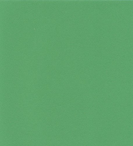 エスケント ケント紙 スターカラー 八切 グラスグリーン 100枚 5742008