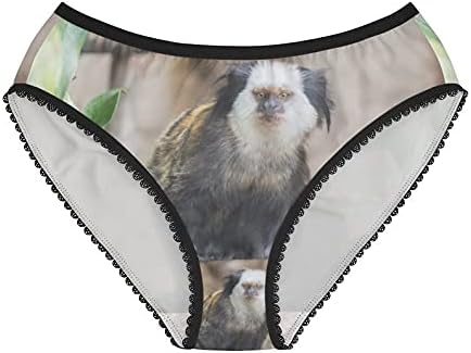 Callithrix Geoffroyi Panties, Callithrix Geoffroyi Underwear, Briefs, Cotton Briefs, Funny Underwear, Panties For Women