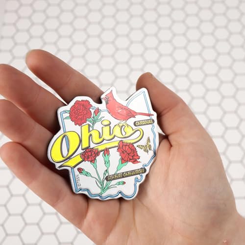 Imán decorativo de Ohio con diseño de cardinal y clavel rojo miniatura 5