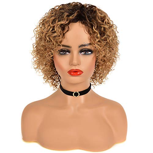 Curly Wigs for Black Women, MISSJAY Brazilian Human Hair Wigs Water Wave None Lace Front Wigs Short Curly Bob Wigs Human Hair(8 Inch, 1B/27)