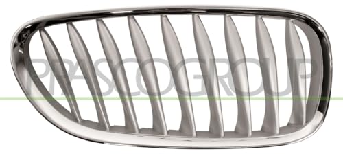 Prasco bm6242013 frontal parrilla Alerón de sustitución directa para el frontal del coche