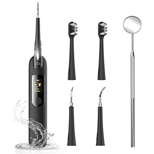 Household Electric Dental Calculus Remover, Plaque Remover for Teeth Tartar Scraper -Teeth Cleaner with 4 Replaceable Clean Heads Rechargeable (Black)