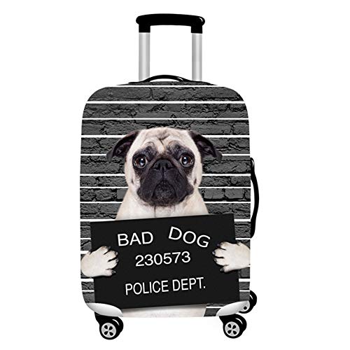 DDU - Maleta de viaje con diseño lindo, duradero y lavable, unisex, varios estilos, tamaños disponibles, Hgs (Plateado) - DDU104844