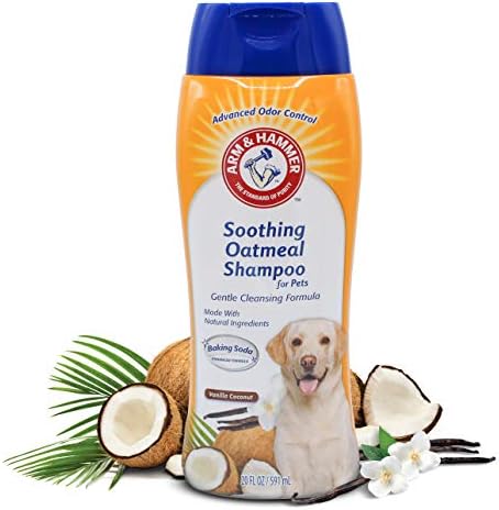 amazon oatmeal dog shampoo