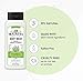 JR Watkins Natural Daily Moisturizing Body Wash, Aloe and Green Tea, 6 Pack, Hydrating Shower Gel for Men and Women, Free of SLS and Cruelty Free, 18 fl oz