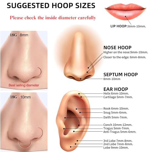 BLISI 6 PCS Titanium Fake Nose Ring Set 18G/20G D-Shaped Thin Nose Piercing Hoop Faux Septum Lip Tragus Cartilage Earrings for Women Men2
