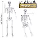 5.9Ft Halloween Skeleton Posable Skeleton Life Size Skeleton Plastic Full Body Human Skeleton for Halloween Decorations