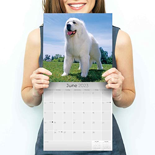 2022 2023 Great Pyrenees Calendar - Dog Breed Monthly Wall Calendar - 12 X 24 Open - Thick No-Bleed Paper - Giftable - Academic Teacher's Planner Calendar Organizing & Planning - Made In Usa #TOP4