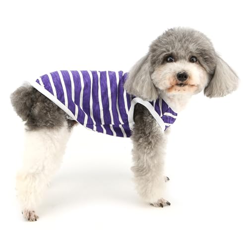 Ropa para gatos transpirable y ligera de verano 2