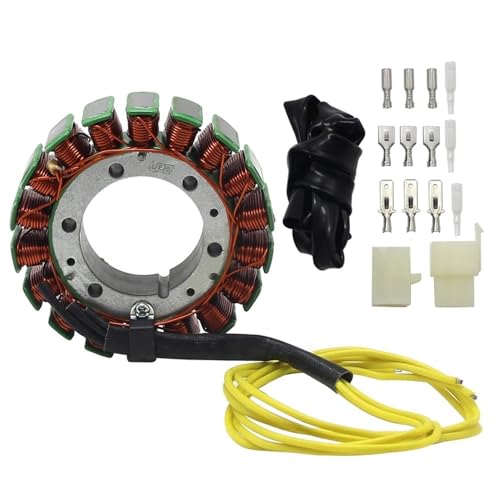 Bobine de stator et régulateur de tension de haute précision - 6