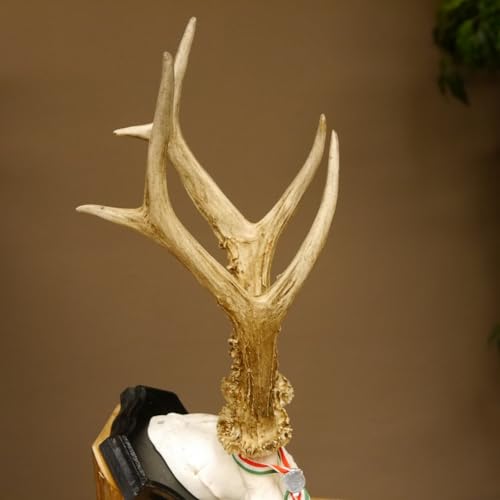 GTK - Geweihe & Trophäen KRUMHOLZ Rehgeweih HL bis 23,2 cm Gewicht 310 g cm Rehbock Bock Reh Geweih Gehörn Trophäenschild
