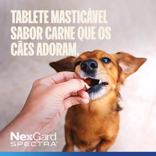2 Nexgard Spectra 30 Á 60Kg Antipulgas Carrapatos Cão Cachorro cães Kit
