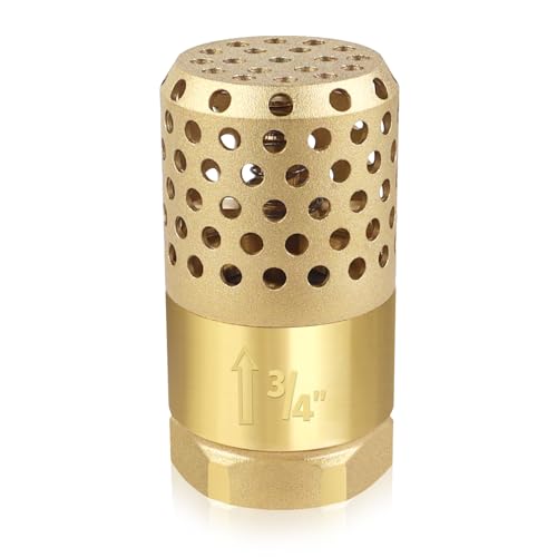 Brass Foot Valve 3/4 inch NPT Heavy Duty Spring Mesh Check Valve Female Connection One Way Foot Valves Backflow Preventer with Holes Strainer Filter for Well Jet Pumps (3/4'' NPT)