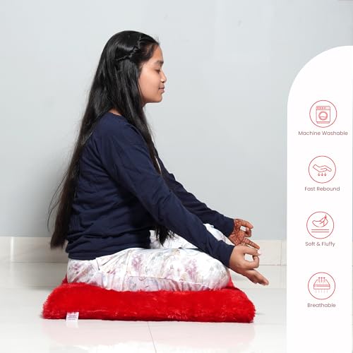 Image of NEXTGO Floor Seat Cushions Yoga Meditation Mat Pooja aasan Soft Extra Comfortable Feather Touch Last Long Upto Washable Material Size 24 x 30 Inch 2 x 2.5 Fit (RED)