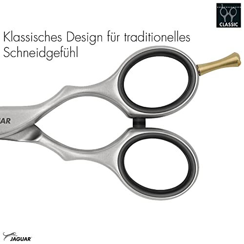 Jaguar Hairdressing Shears Pre Style Ergo 6.0 Inch Professional Stainless Steel Hair Cutting & Trimming Scissors For Salon Stylists And Barbers, Satin Finish Look, Classic Design, Made In Germany #TOP3