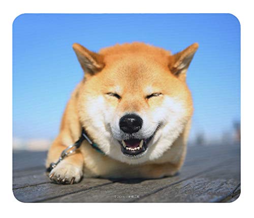 Amazon.co.jp: 柴犬のマウスパッド：フォトパッド（世界の犬シリーズ