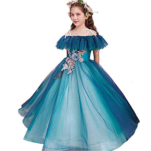 ZoSiP Robe Princesse Robe Princesse Enfants Robe Filles Fluffy Fil Flower Girl Piano Performance Costume Hôte Robe de Soirée Catwalk Jupe Longueur Multi Couches Tulle (Color : Blue, Size : 120cm) Cover