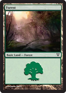 Magic The Gathering - Forest (242) - Avacyn Restored