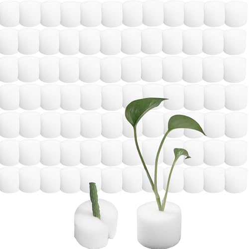OHYER Spine di Lana di Roccia Blocco in Lana di Roccia Tappi in Cilindrica Lana di Roccia Cubi di Radicazione Piantagione idroponica per La Coltivazione Talee e Trapianto di Piantine (Bianco, 25*20mm)