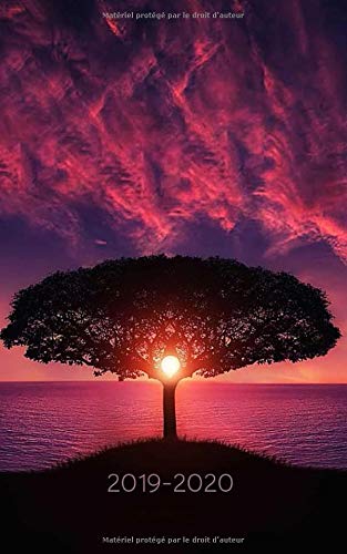 Télécharger 2019 – 2020: Agenda Scolaire 2019 - 2020 / Une page par jour / Planificateur Académique / Beau ci PDF
