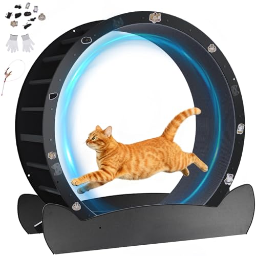 GTPLAYER Cat Wheels, Large Cat Exercise Wheel for Indoor Cats, 40" Diameter cat Treadmill Detachable Carpet & Teaser, Stickers, Ultra-Quiet Scroll Wheel with Latch, Metal, Black Ears-1 Style by GTPLAYER - Used condition - US$75.06