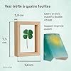 Petits Porte-Bonheur : Véritable Trèfle à Quatre Feuilles à Offrir – Cadre Bois 7,5x5,6cm – Cadeau Chance Examen – Cadeau Réconfort – Porte-Bonheur Original – Inovida #2