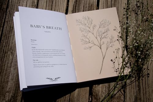 Floriography: An Illustrated Guide to the Victorian Language of Flowers (Volume 1) (Hidden Languages) - Image 10