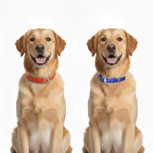 Image of Comfort Fit & Durable Nylon Dog Collar Combo Set - Safe & Adjustable Pet Collars-(Pack of 2) (Red & Blue)