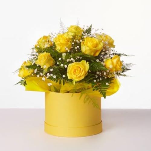 Image of Oasis Paper Gift Box Empty, Decorative, Reusable, Multipurpose Birthday, Anniversary, Wedding, Return Gifts Hamper Packaging (Set of 3) Round Macaroon Yellow