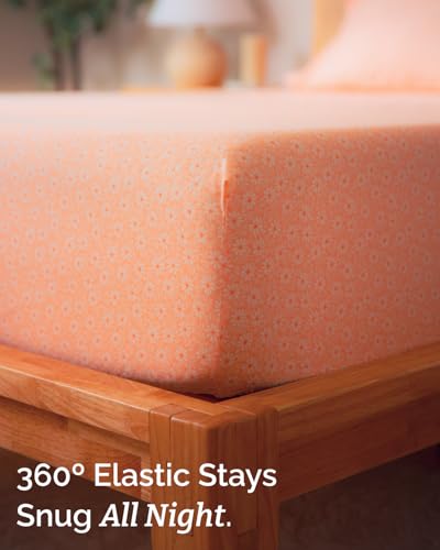 Image of King 4 Piece Floral Sheet Set - Soft, Breathable & Cooling - Blush Daisies
