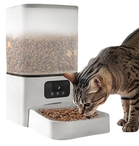 OXIZER a L/ a@ 6L e ^C~OƒʓI pd O\ ֗Ȏ[ ȒP   (6L rfIf [ΘbAt[h{ẺAHD iCgrW])