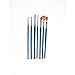 Winsor & Newton Cotman Short Handle Brushes, Set of 7, (Round 1 & 6, Rigger 2, Filbert 1/4