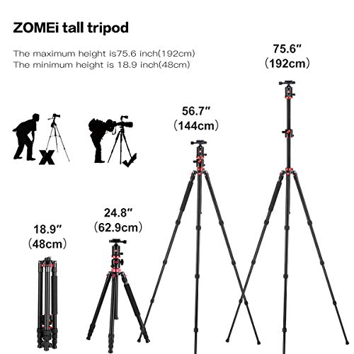 ZOMEi 75'' Tripod,Camera Tripod for DSLR,Ball Head Tripod Professional Tripods 4 Section Horizontal Tripod with 360 Degree Ball Head Plate for Canon DSLR DV Scope Camcorder and Projector