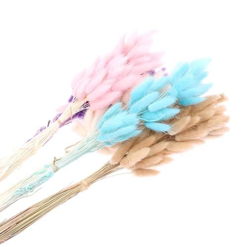 Pampas Grass Decor Tall 50 Piezas Style 2 miniatura 3