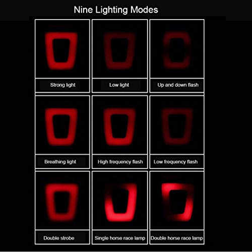 LEIPUPA Capacete de Ciclismo para Adultos Capacete de Segurança Ajustável Anti-impacto com Luz USB C