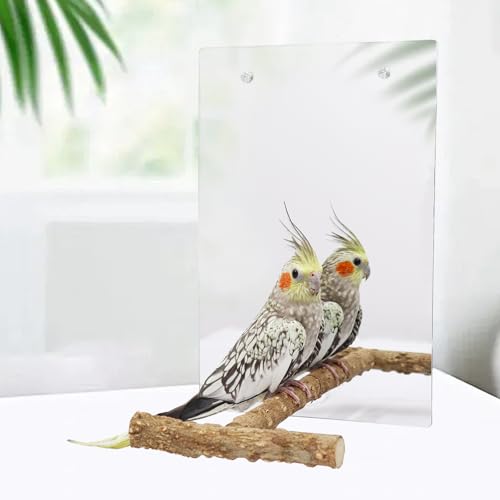 Image of Large Bird Stand Perch with a Mirror and Bells, Bird Toys, Parrot Perch Stand, Cage Accessories for African Grey Budgie Cockatiel Lovebird Conure Small to Medium