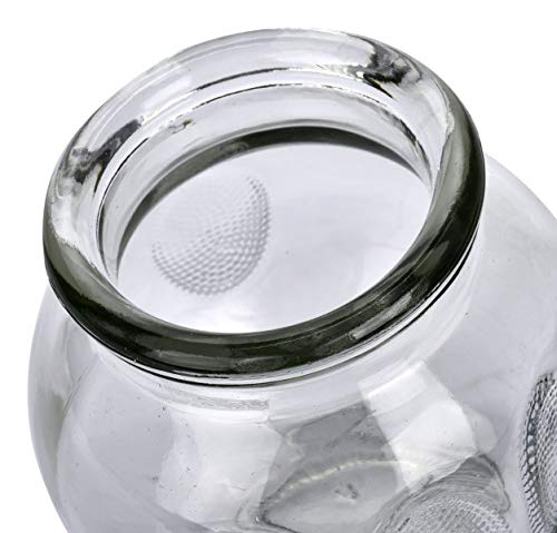 Feibrand Professionele Cupping Set Glas 12 Glazen Kopjes Fysio Massage Chinese Vuur Cuppen Therapie Vacuümzuiging - Image 7
