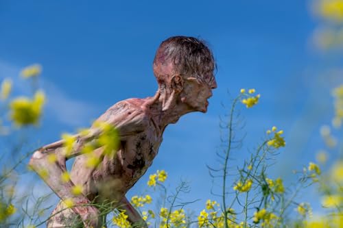 28 Years Later (Limitiertes Steelbook, 4K-UHD+BD)