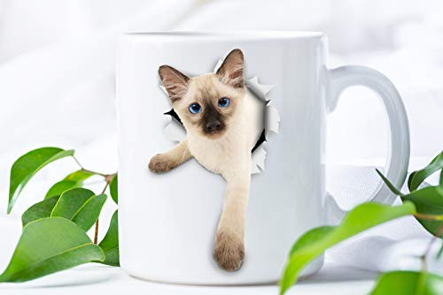 Siamese Kitty Cat Coffee Mug - Ceramic Funny Coffee Mug - Perfect Cat Lover Gift - Cute Novelty Coffee Mug Present - Great Birthday Or Christmas Surprise For Friend Or Coworker, Men And Women (11Oz) #TOP5