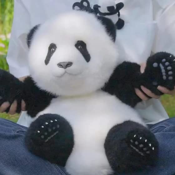 パンダ 高品質 5ヶ月齢もうらん 手作りリアルパンダぬいぐるみギフト Amazon.co.jp: パンダのぬいぐるみ 素敵な高額ギフト