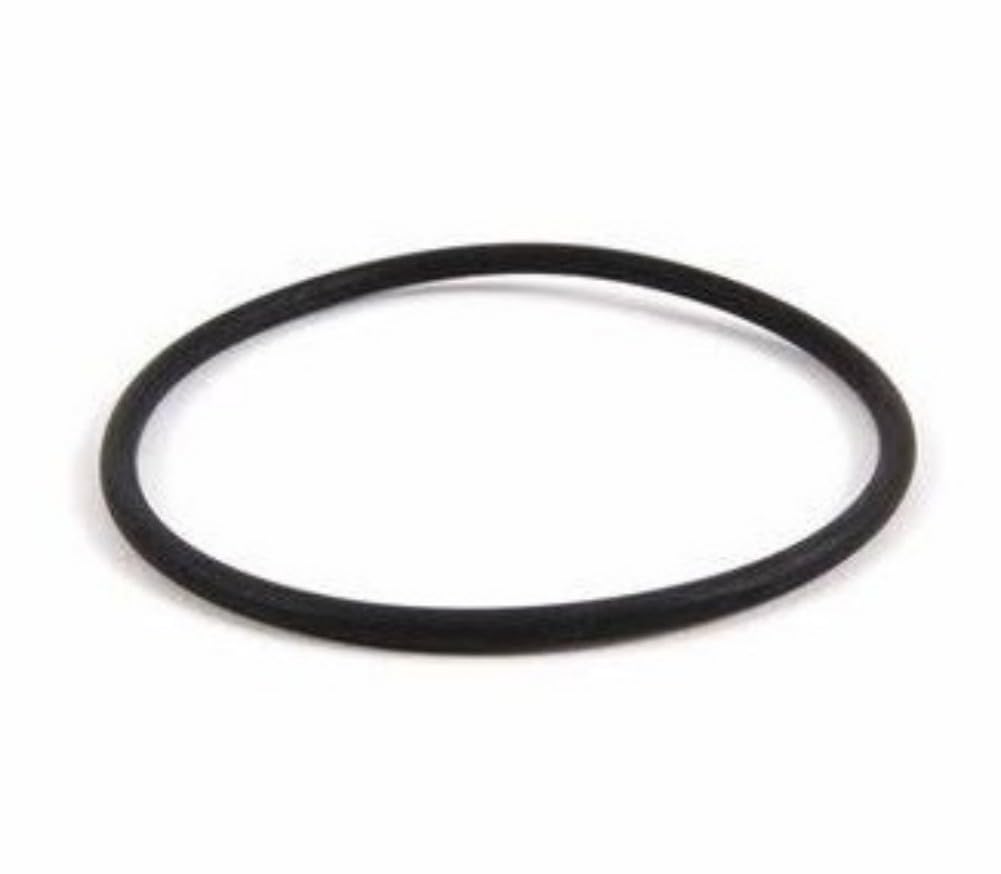 Sealing Gasket A0169975045