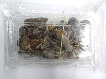 Amazon | 冷凍カメジャコ(冷凍ゲンダ) 中サイズ 釣りエサ用 チヌ