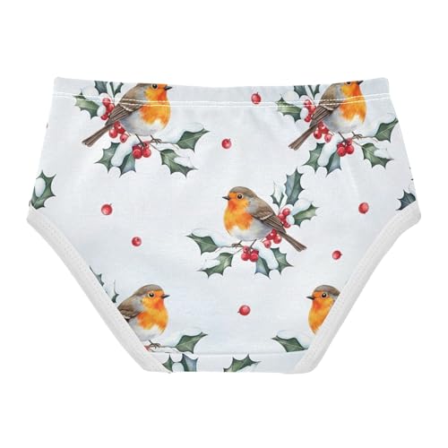 Girls Underwear Toddler 2t Cotton Cute Panties Girl Fun Print Briefs Kids Undies Cartoon Birds Red Berries Winter2