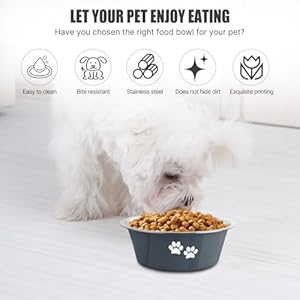 Stainless-Steel-Dog-Bowls-Nonslip-Rubber-Bottom-No-Spill-Proof-Skid-Metal-Insulated-Dog-Bowls-for-Large-Medium-Small-Breed-Dogs-Grey-36-Cups29-OZ - Cucciolini Doodles   Stainless-Steel-Dog-Bowls-Nonslip-Rubber-Bottom-No-Spill-Proof-Skid-Metal-Insulated-Dog-Bowls-for-Large-Medium-Small-Breed-Dogs-Grey-36-Cups29-OZ